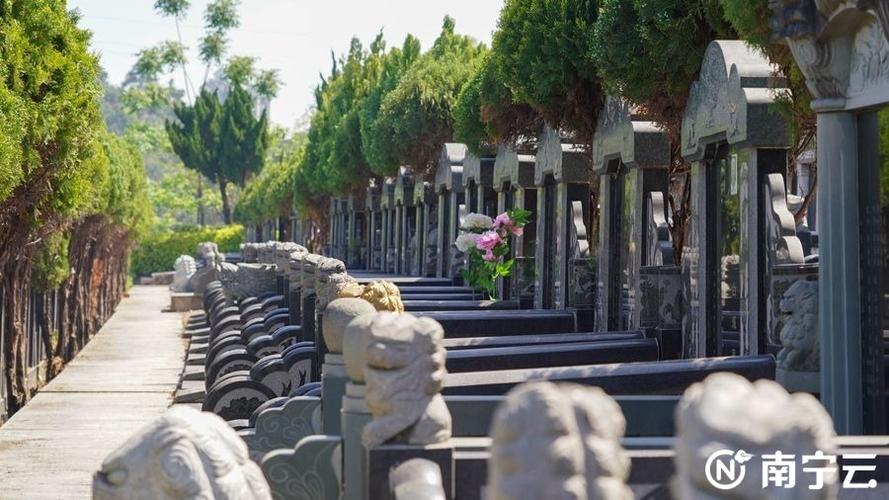 南宁市青龙岗贴心服务群众实现墓园祭扫安全文明有序