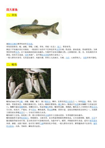 常见鱼类图文doc17页