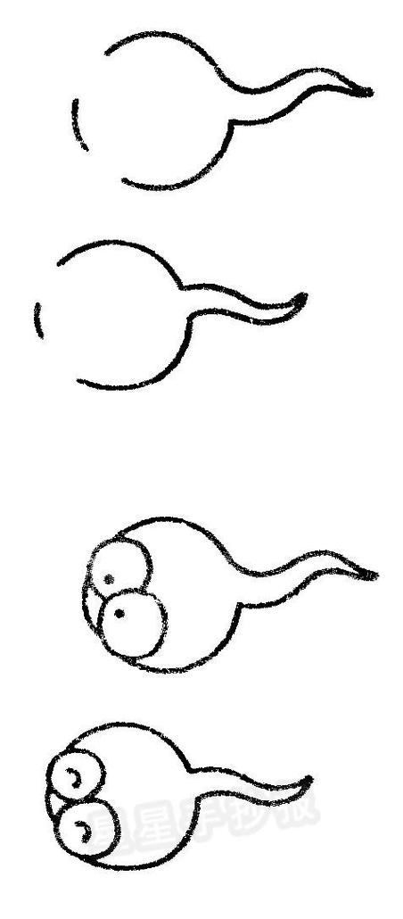 蝌蚪的成长过程简笔画怎么写小蝌蚪简笔画颜色小蝌蚪简笔画图片大全画