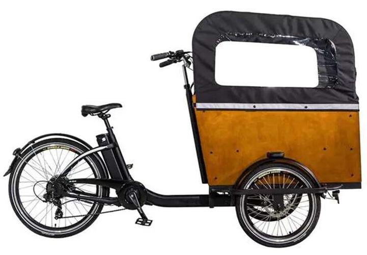 倒三轮自行车美国ferla泽西岛带娃神车汉森cargobike货箱自行车 直角