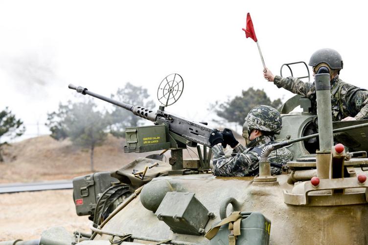 近日,美韩两军进行了一系列联合军事演习,该演习代号为"雏鹰".