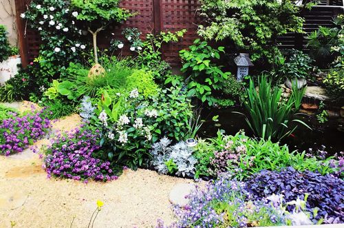 英和紫悦府庭院规划植物搭配