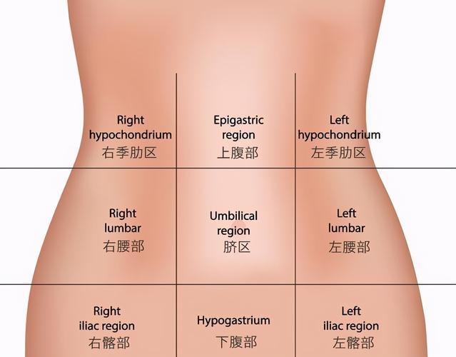 左上腹部隐痛的原因有哪些