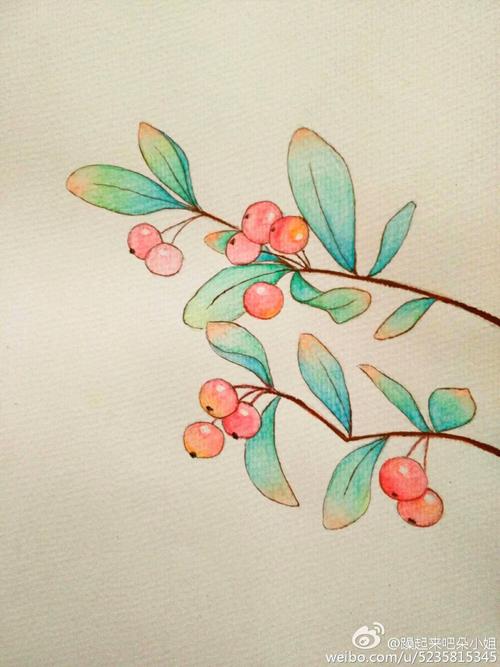 dorothy wang: 水彩 手绘 植物 红果果 清新 微博同步