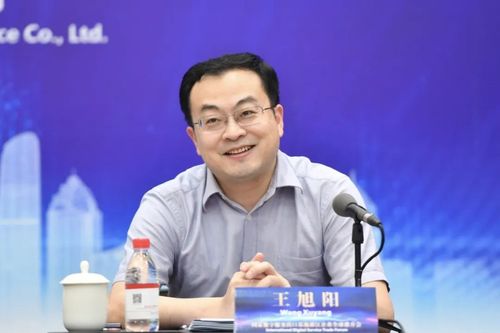 王旭阳宣读国家数字服务出口基地公告