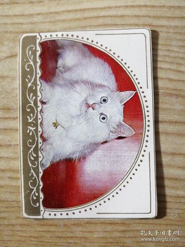 八十年代猫咪卡片(五张一套)