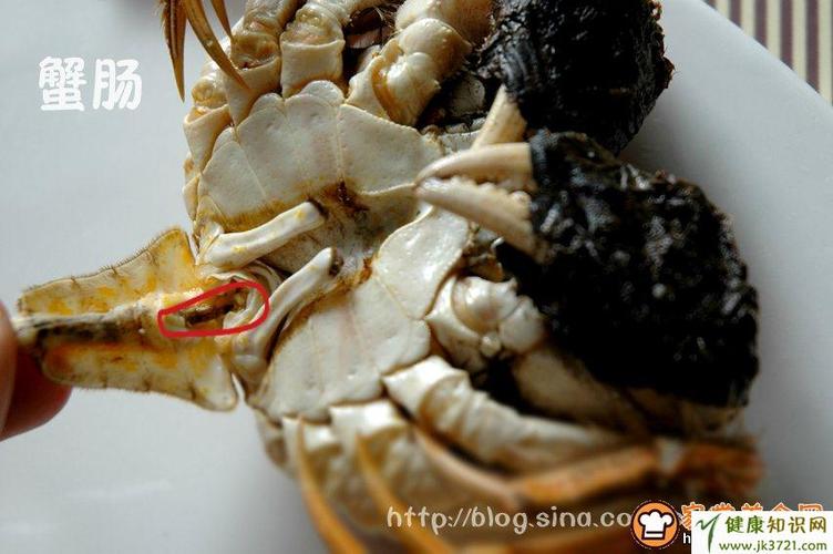 图文解释怎么吃大闸蟹_螃蟹的哪些部位不能吃?