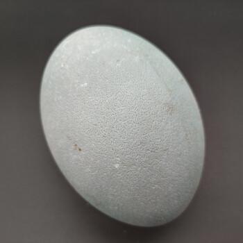 展志曼智澳洲鸵鸟蛋鸸鹋新鲜食用蛋小蛋送礼节日鸵鸟蛋新鲜 食用蛋