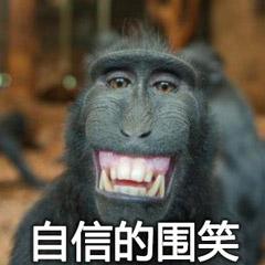 猩猩猴子自信的微笑gif动图_动态图_表情包下载_soogif