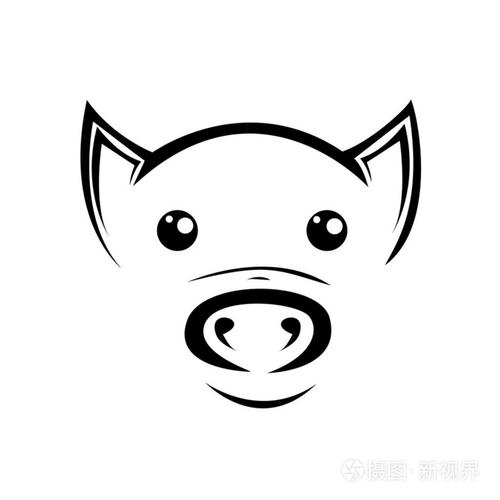 矢量插画的猪