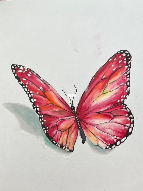 油画棒丹可林红蝴蝶附过程图