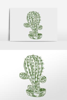 线描素描热带仙人球植物插画