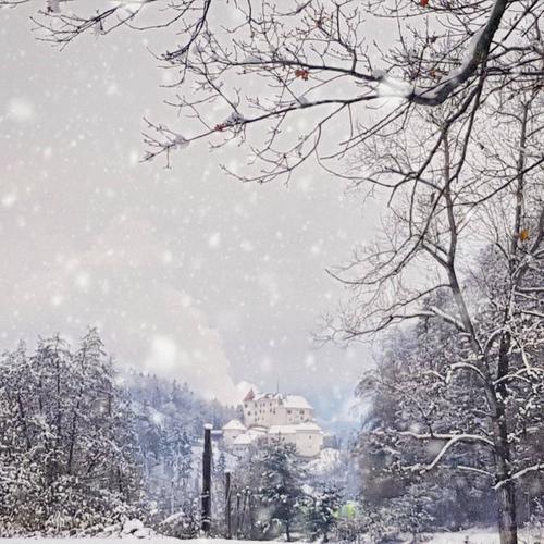 银装素裹斯洛文尼亚的冬日雪景美爆了