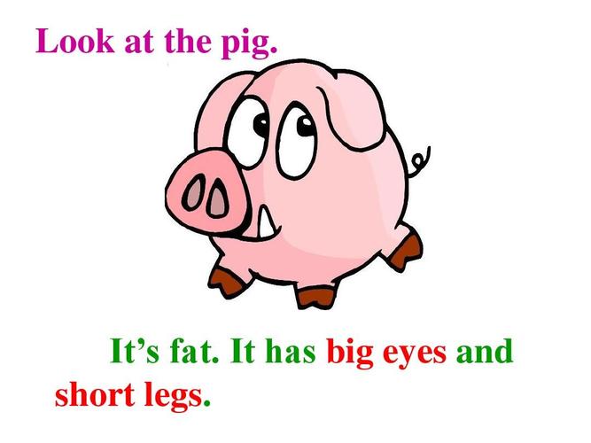 look at the pig. its fat. it has big eyes and short legs.