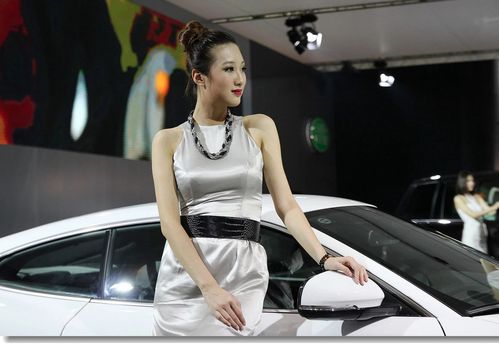 2012年6月19日,重庆南坪会展中心车展——拍摄整理:浮漂