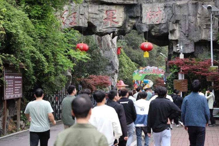 上万名重庆游客将不定期来到绥阳双河洞,红果树,卧龙湖,清溪峡等景区
