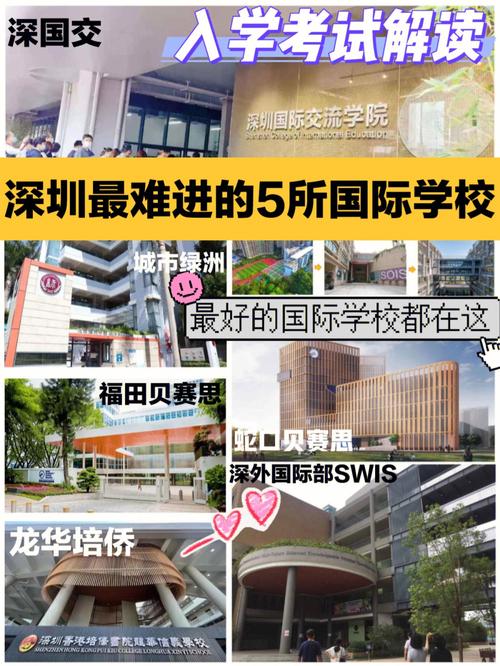 深圳最难进的5所国际学校难哭上万家长