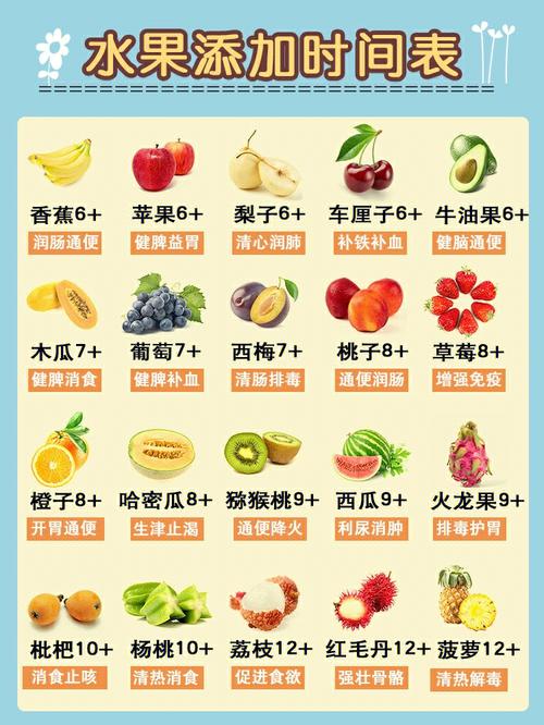 各月龄宝宝水果添加顺序表水果蔬菜添加