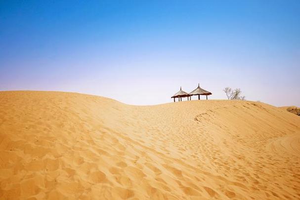 银川沙坡头:感受沙漠与绿洲的完美融合