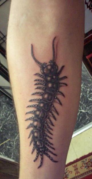 手臂上一款个性的蜈蚣纹身