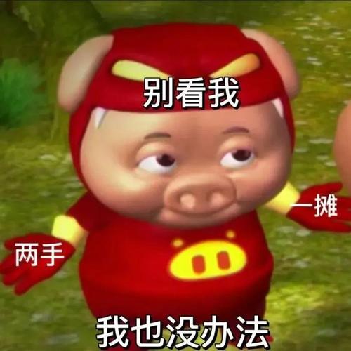 网友创作的"猪猪侠"表情包猪猪侠系列动画经过十余年连载长跑,当初看