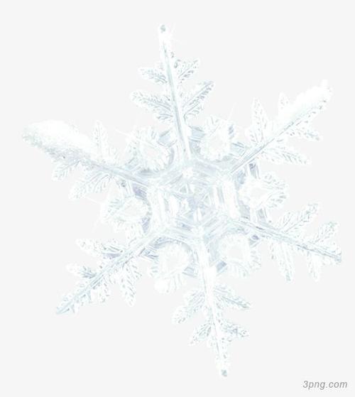 标签:雪花雪花雪花冬季冬天冰晶微距摄影自然景观自然风景雪花图标