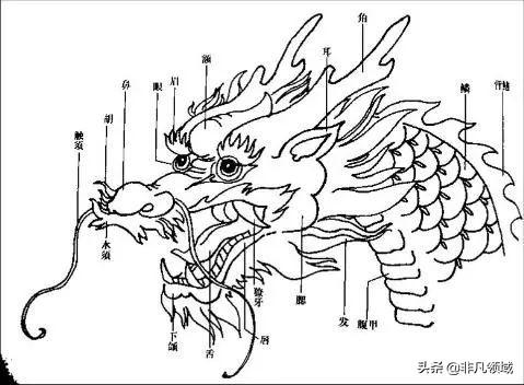 中国彩墨龙的画法步骤 工笔龙的简笔画教程