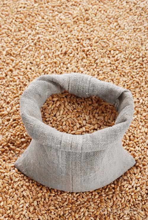 小麦和谷物的分散的袋子
