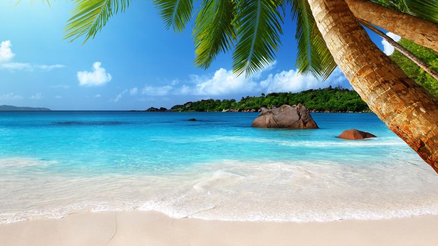 5k海滩椰树高清唯美风景,高清图片,电脑桌面-壁纸族