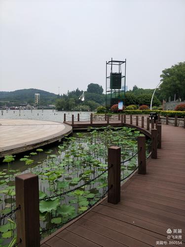 江阴黄山湖公园一日游记录2020.5.24)