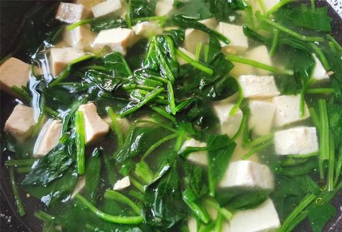 菠菜豆腐汤的正确做法不要把菠菜直接下锅煮很多人都做错了