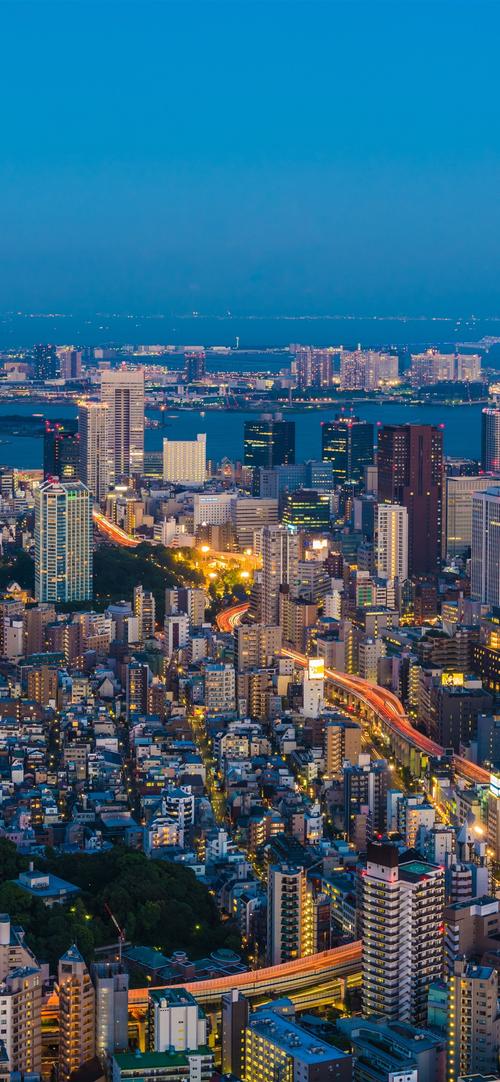 日本,东京,城市景观,夜,灯,摩天大楼,塔 iphone 壁纸