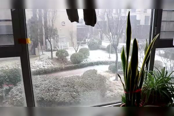 山东今天下大雪了小孔宝在窗边吃着鸡蛋看着下雪还是第一次见