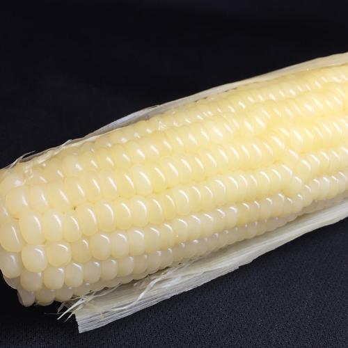 东北大棒粘玉米软糯玉米新鲜真空非转基因老品种粘苞米10支5斤包
