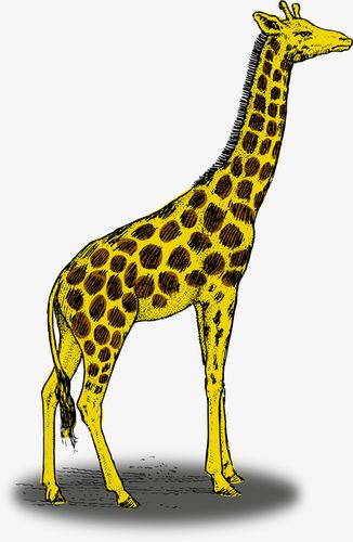 卡通手绘黄色可爱叹气长颈鹿元素