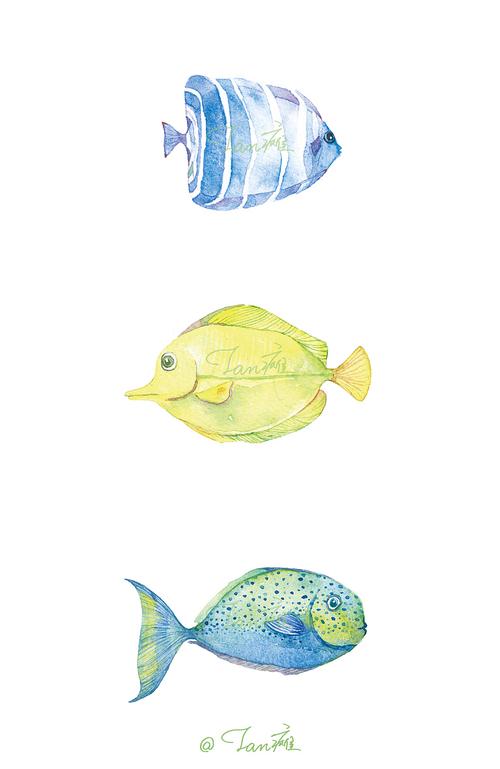 鱼水彩手绘插画