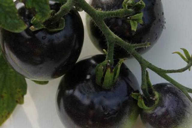 这些大众化的黑色蔬菜水果,你都见过哪些