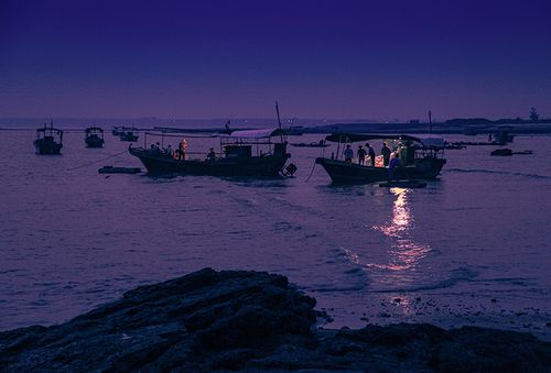 广东湛江东海岛龟头渔村,晚归的渔船在整理鱼获.