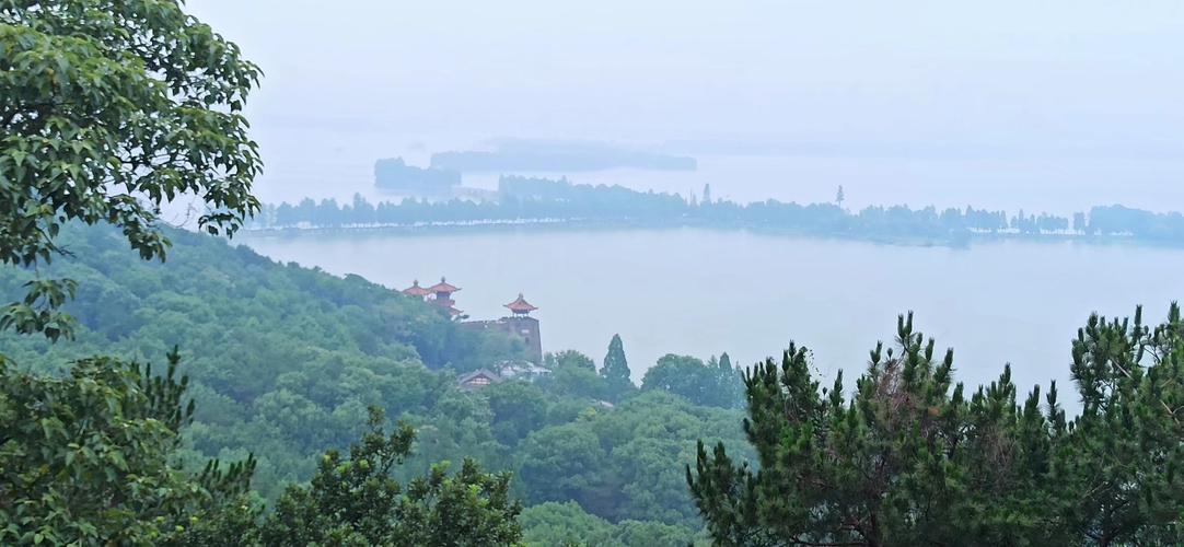 树倒之谜的武汉东湖磨山景区