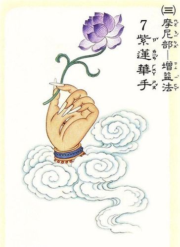 紫莲花手绘图