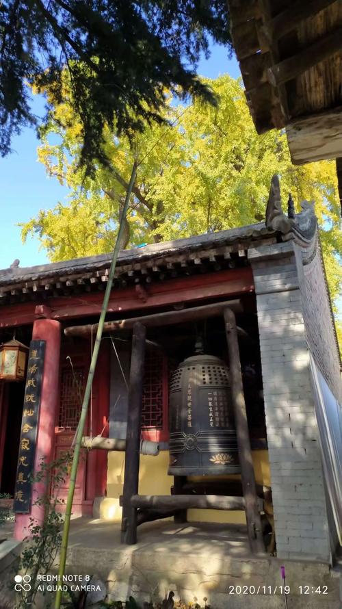 11.19日西安百塔寺一处默默不闻简陋的小寺庙,却有一棵1700年的银杏树