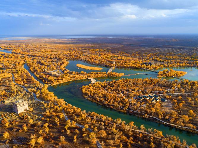 新疆巴楚县:316万亩原始胡杨林成就"世界连片面积最大天然胡杨林"美誉