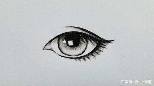 铅笔画:怎样画眼睛