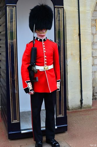这里同样由皇家卫队负责守卫,卫兵用高高的熊皮帽子遮了半张脸,愈发高