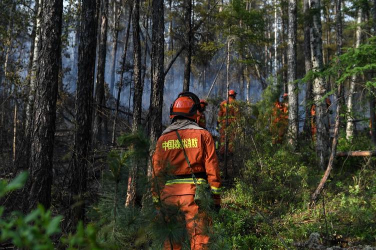 6月22日,成功合围后,森林消防员在秀山林场火灾南线火烧迹地附近值守