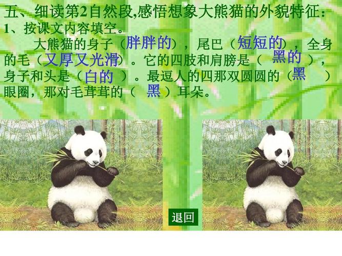 《大熊猫》课件ppt 五,细读第2自然段,感悟想象大熊猫的外貌特征: 1
