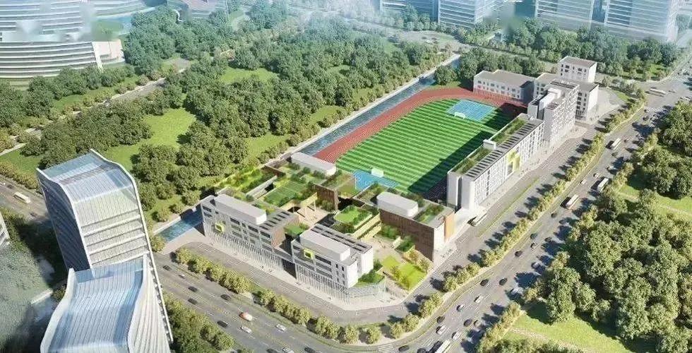 2021年深圳新增10所国际学校,居全国首位_公学