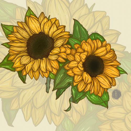 了方法万物皆可提线稿#yellowcc插画课程打卡  #花卉  #向日葵  #手绘