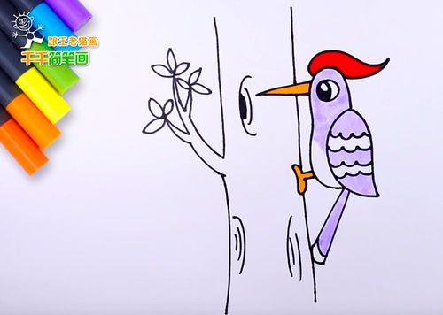 儿童科普简笔画:著名森林医生啄木鸟