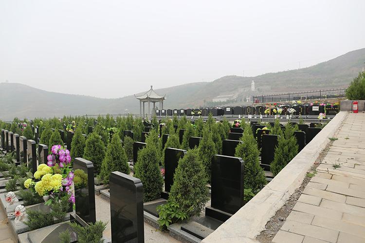 天安堂公墓墓区绿化